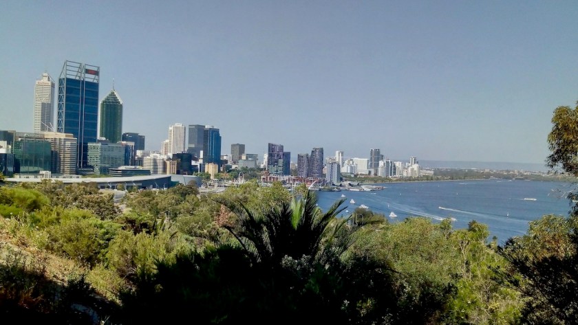 IMG_20191117_150358244_HDR